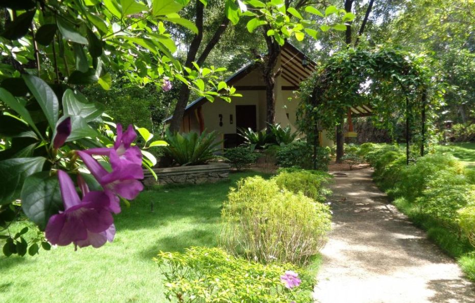 Rimaka Village