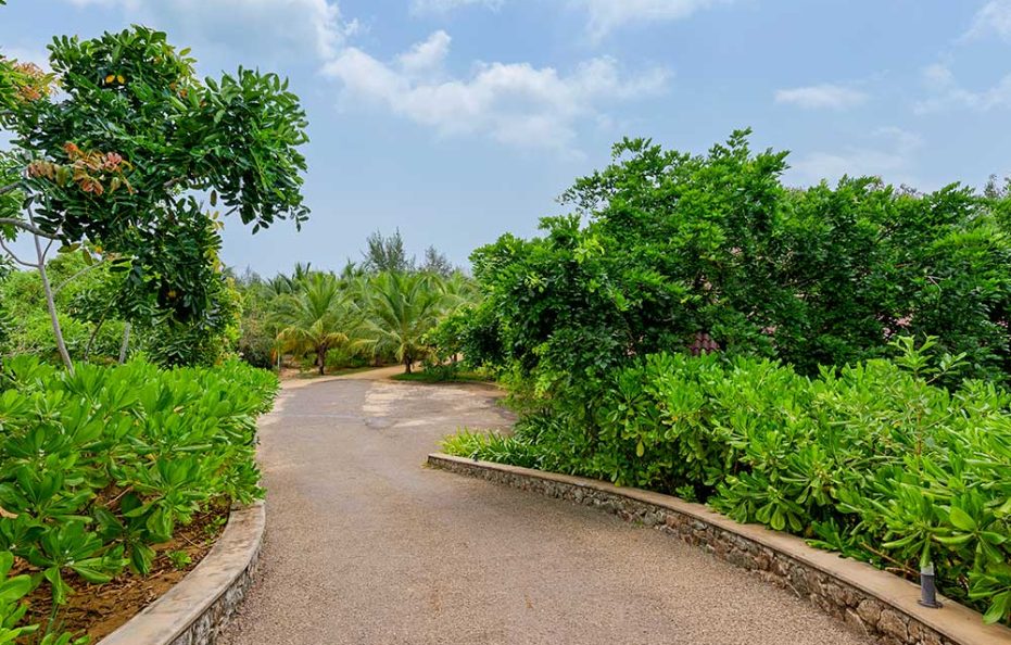 Arugam Bay Bliss: Aprota Villas