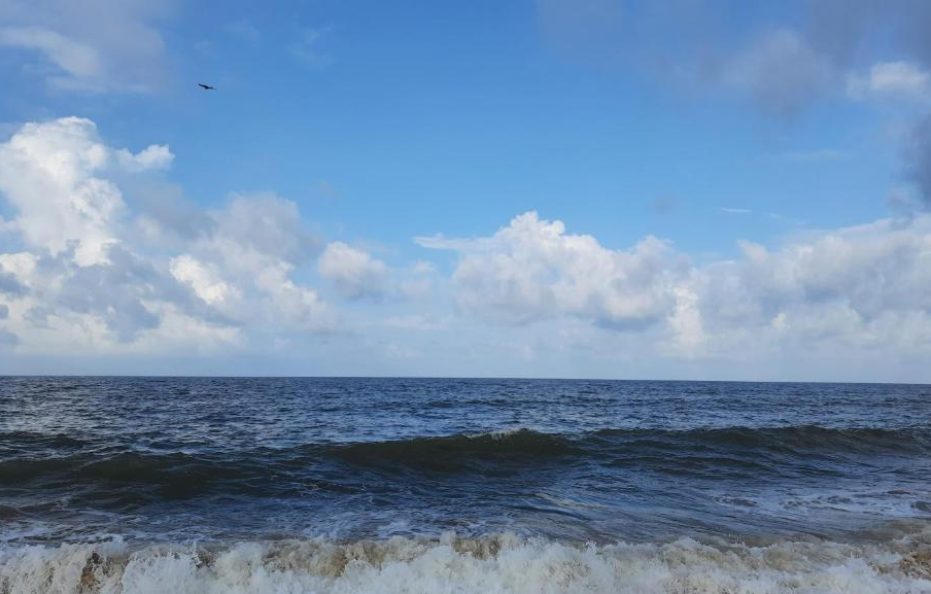 Calypso Sunset – Negombo