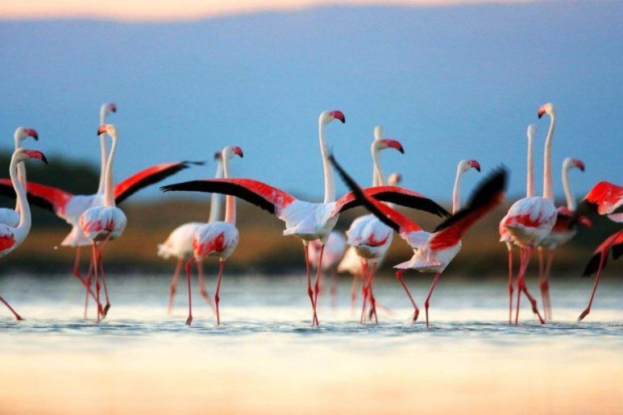 Explore the Untouched Beauty of Sri Lanka’s Northern Province