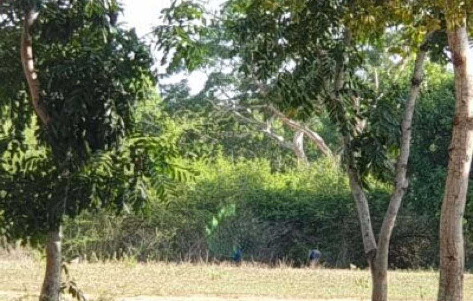 Vintara Eco Resort, Mattala