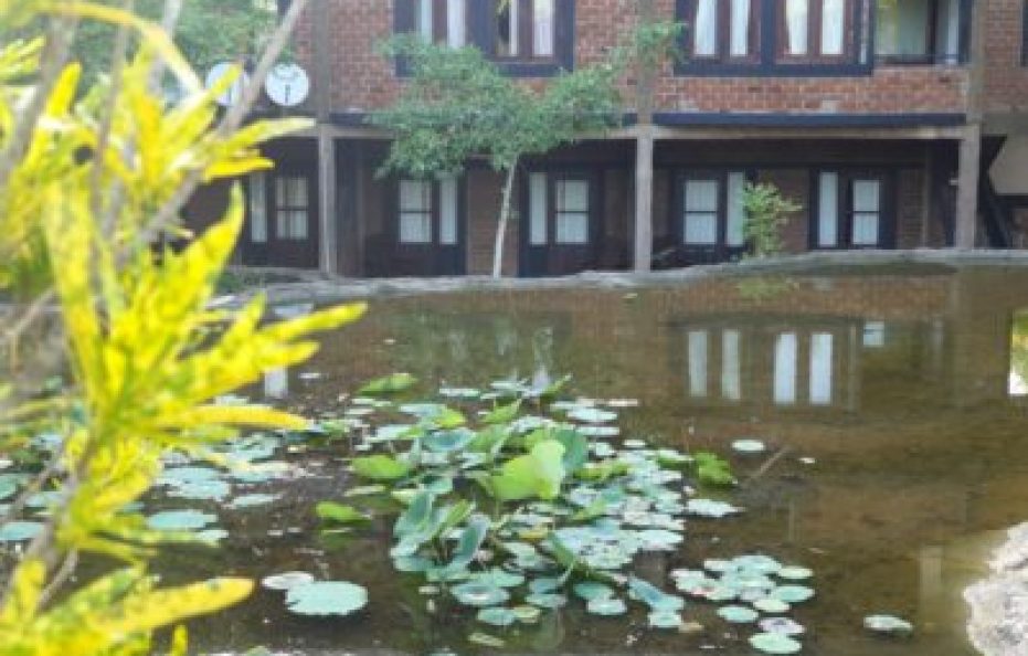 Vintara Eco Resort, Mattala