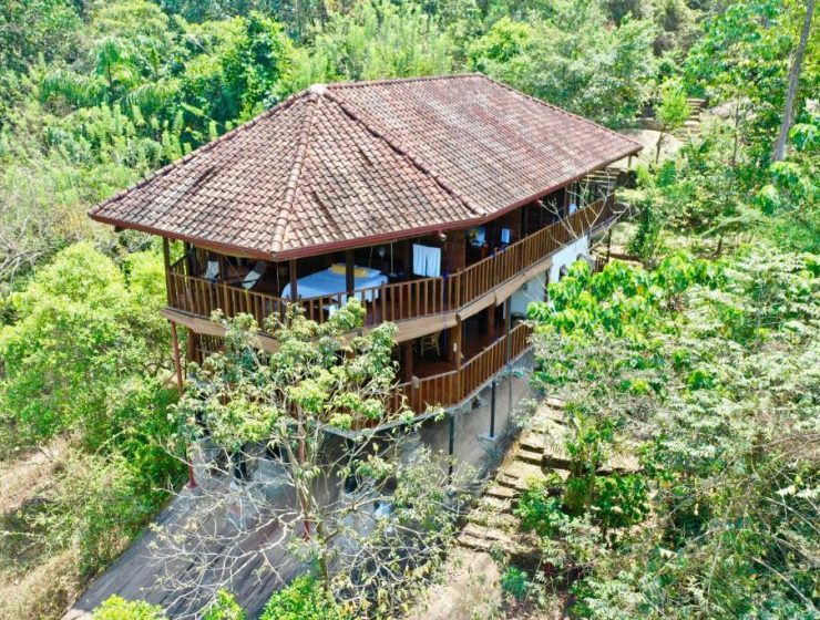 Forest Retreat, Kitulgala