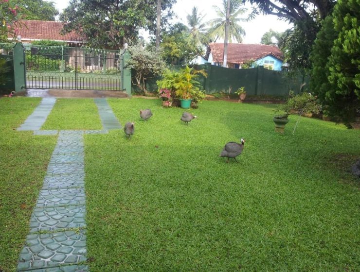 1 Bedroom Villa in Negombo – 34862