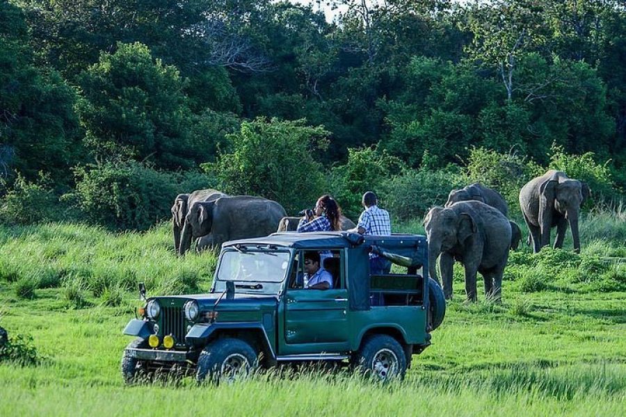 Travel to Sri Lanka – Mr & Mrs Dean
